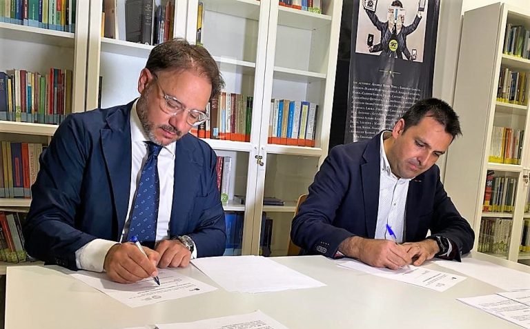Institución - Colaboración