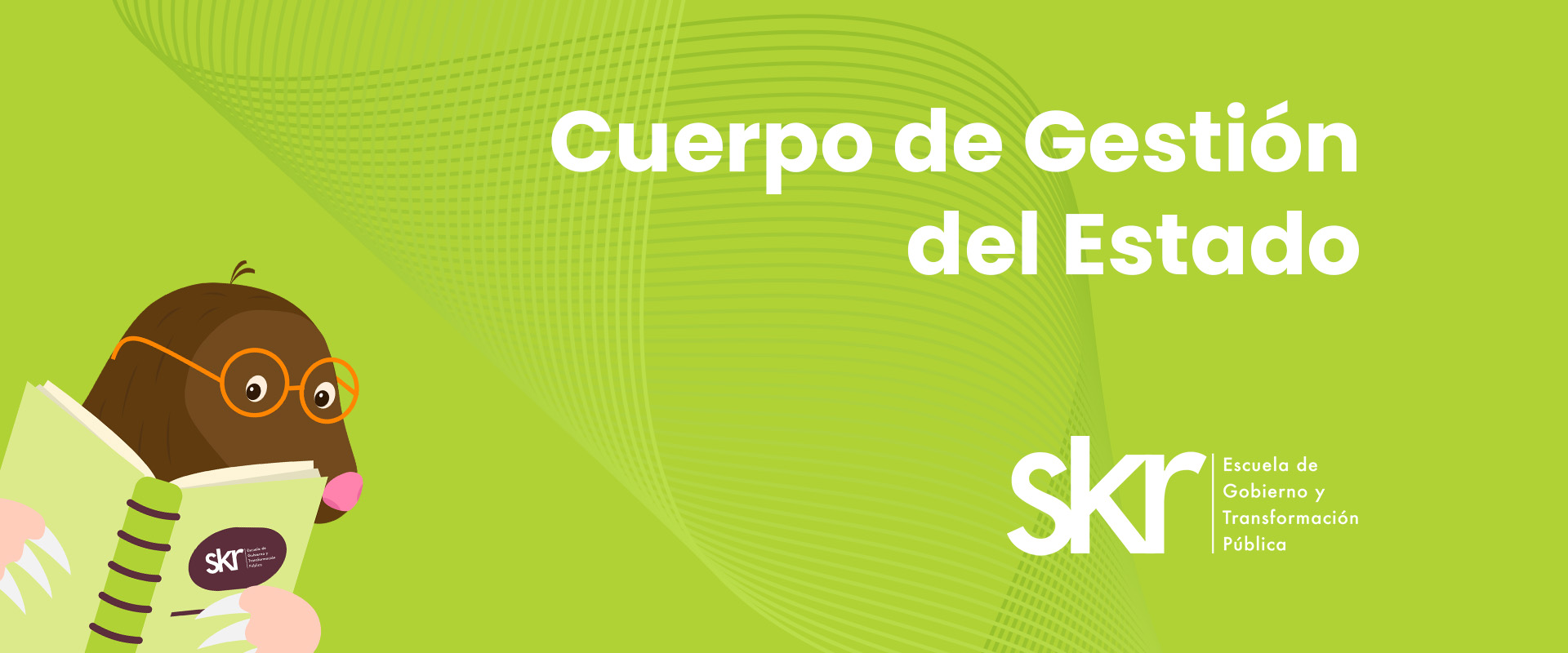 TopoTest Gestion del Estado